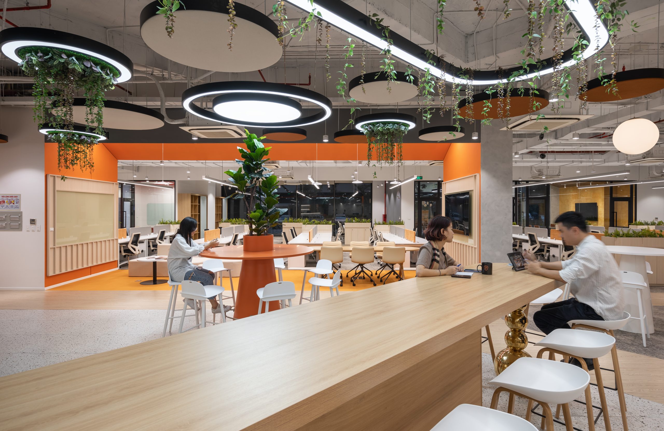 Co-working area view 04